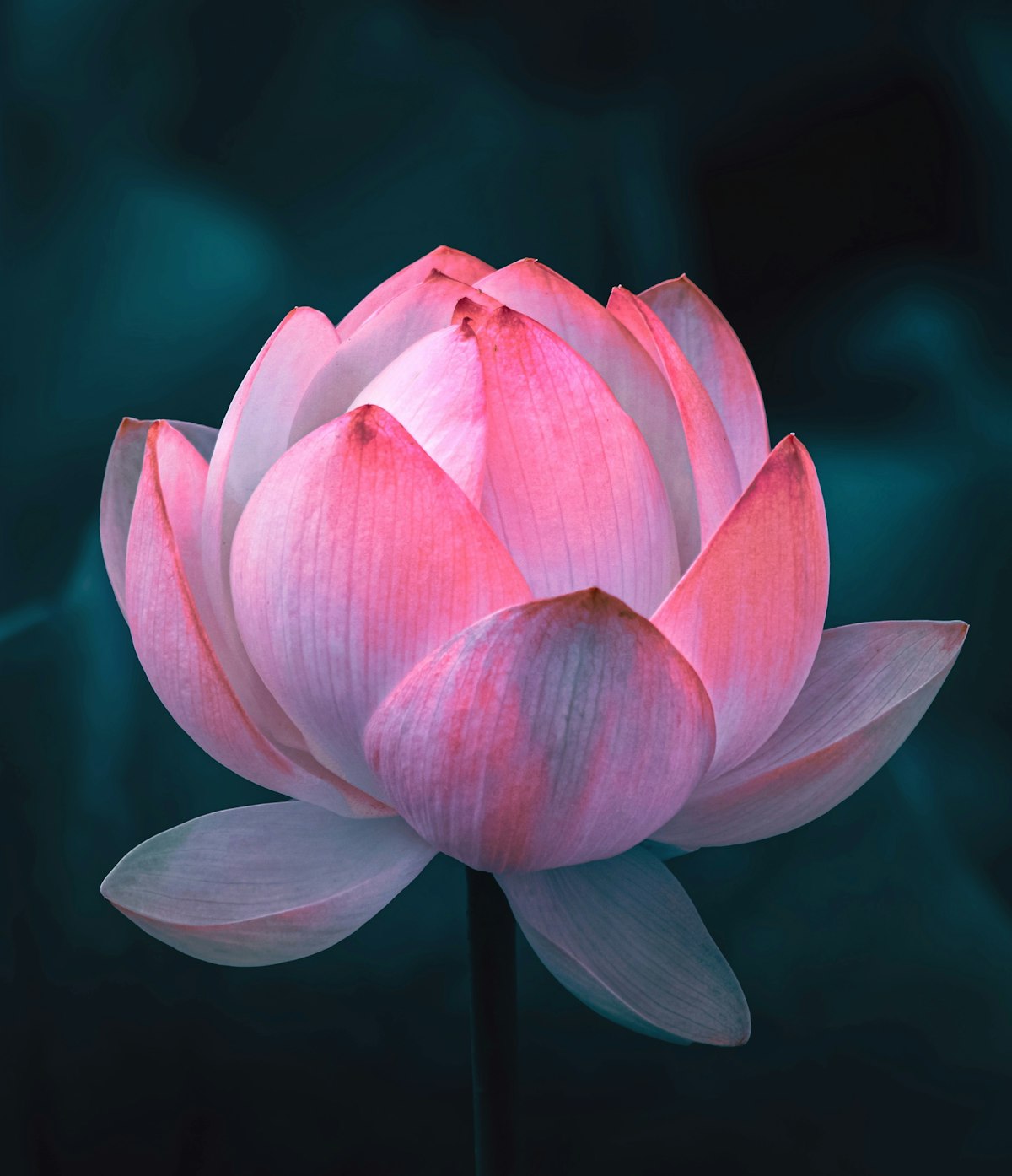 Dịch vụ khắc chữ